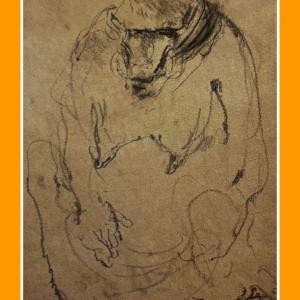 baviaan ii, dierenpark tilburg