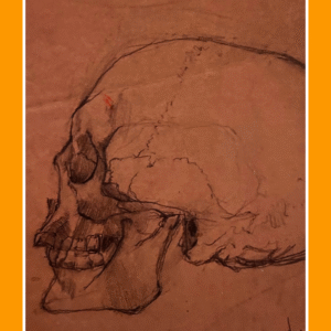 het grote hoofd ...... 62/51/30