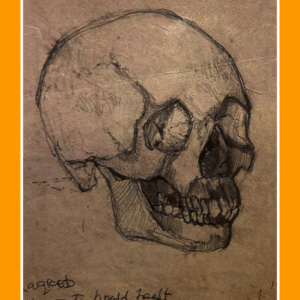 het grote hoofd heeft alles uitgedacht 63/4/50