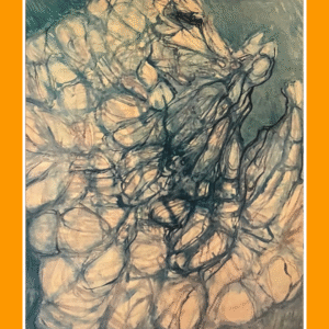 de wonderlijke witte 68 70/11/500