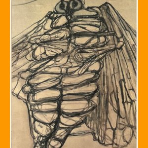 angstig terug 68 70/12/500