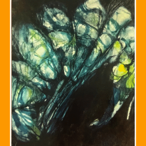 doorzichtige snuifvlieg 68/4/400