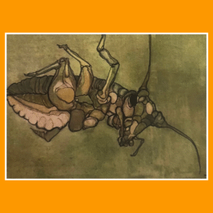 groene sprinkhaan 68/4/600