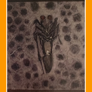 de grillige grijze 76/3/80