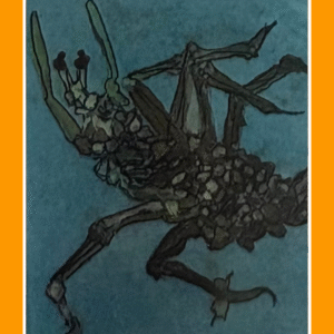 bijna vergaan 80/1/80