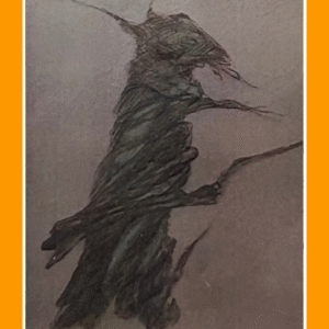 moedige herstart 80/2/80