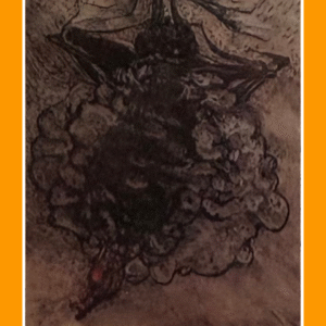 wij zullen doorgaan 80/6/80