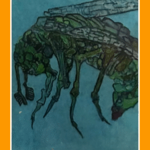 wij zullen doorgaan 80/6/80