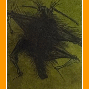 geweldig geveld 81/1/80