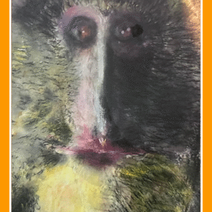 yellow beard 24/26/80