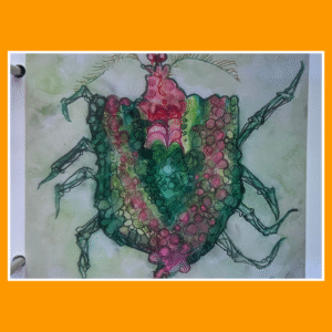 vol met eieren 25/19/80