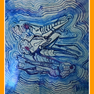 ik hou van jou sprinkhaan 25/11/80