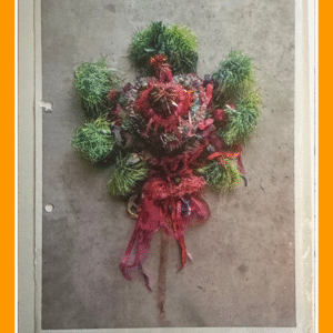 heart of hope 05/2/100