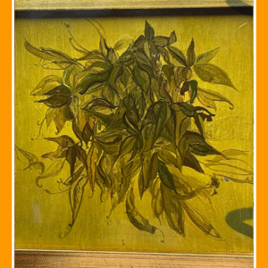 zeewier, olieverf 82/12/100