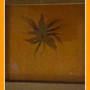 tien bladige plant, olieverf 82/11/100