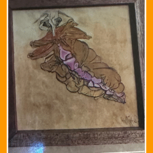 agressieve steenkloot 82/4/80