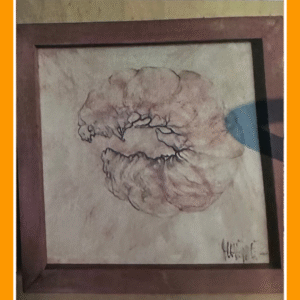 wachten op iets moois i 82/7/80