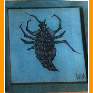 facade vlieg 82/2/80