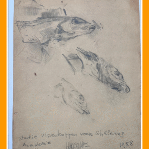 vissenkoppen 58/1/30