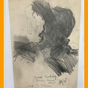 joost sicking schaduw 59/3/30