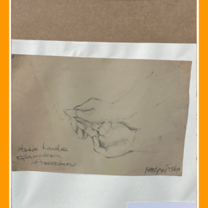 studie handen 60/48/30