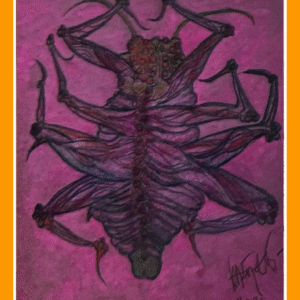 dageraad langloot 25/4/80