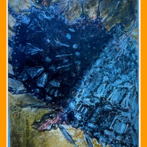 siamese blauw steker 24/7/80