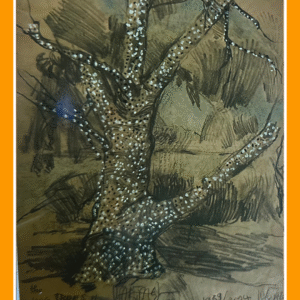 wong boom, 1959 2024 24/5/50