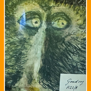 goud oog lesula 23/30/80