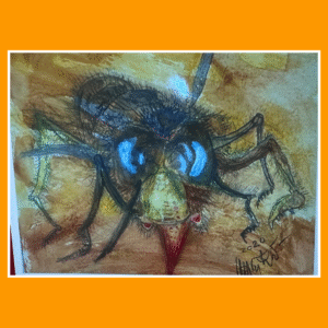 oer aziatische hoornaar 20/9/80