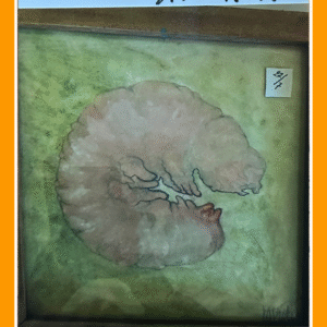 wachten op iets moois ii 22/7/80