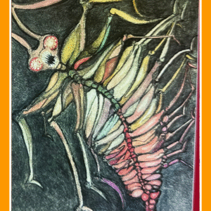 weer terug naar insecten 23/14/80