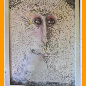 leider lesula 24/28/80