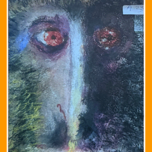 lesula, mijn vriend 23/25/80