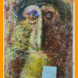 yellow lesula 23/27/80