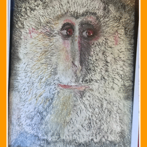 strijder lesula 24/29/80