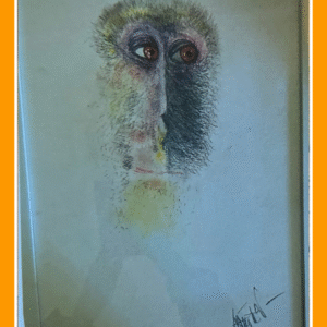 verlegen lesula 24/27/80